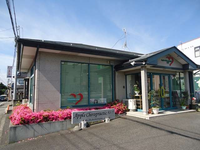 アップル稲田接骨院